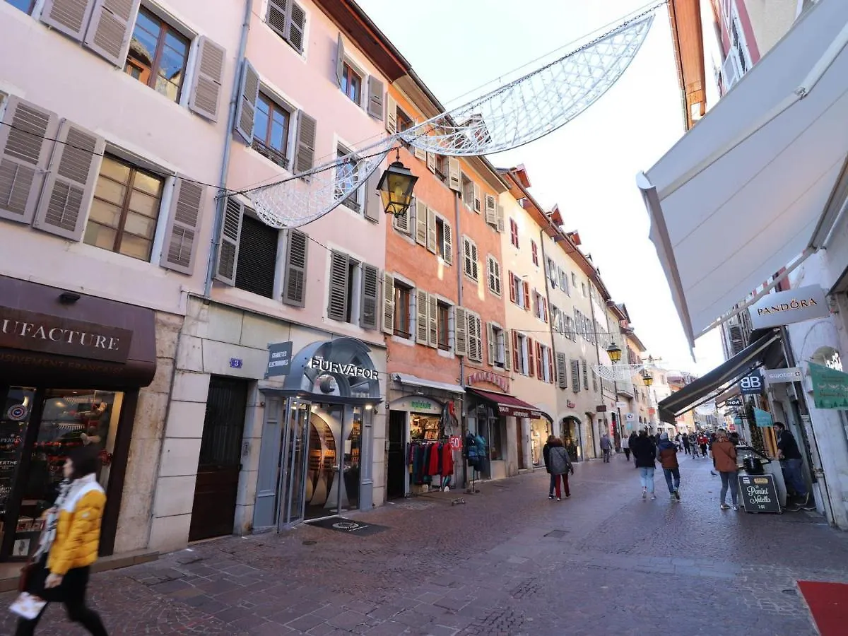 Duplex Atypique Au Coeur Du Centre Historique D'Annecy, Proche Du Lac Et Tous Commerces - Fr-1-432-63 Annecy
